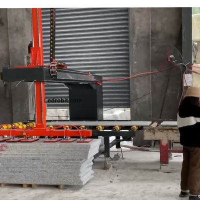 ৩০০ কেজি ইন্ডাস্ট্রিয়াল প্যালেটাইজিং অটোমেশন প্যালেট হ্যান্ডলিং গ্যান্ট্রি রোবট প্যালেটাইজার